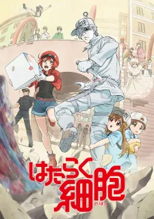 Hataraku Saibou Season 1